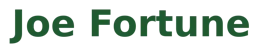 Joe Fortune